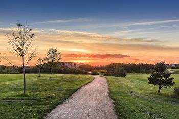 A pathway leads through a grassy field with trees on either side.